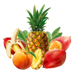 Icono frutas tropicales
